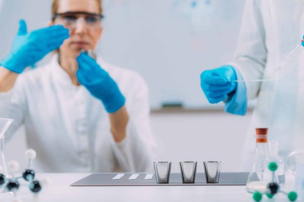 Comment intégrer un jeu de pistage olfactif dans le quotidien d'un chien de race Brachet allemand?